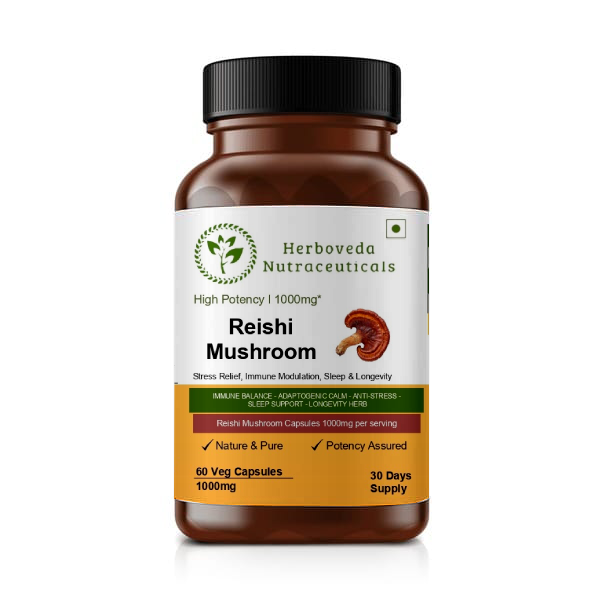 Reishi Mushroom